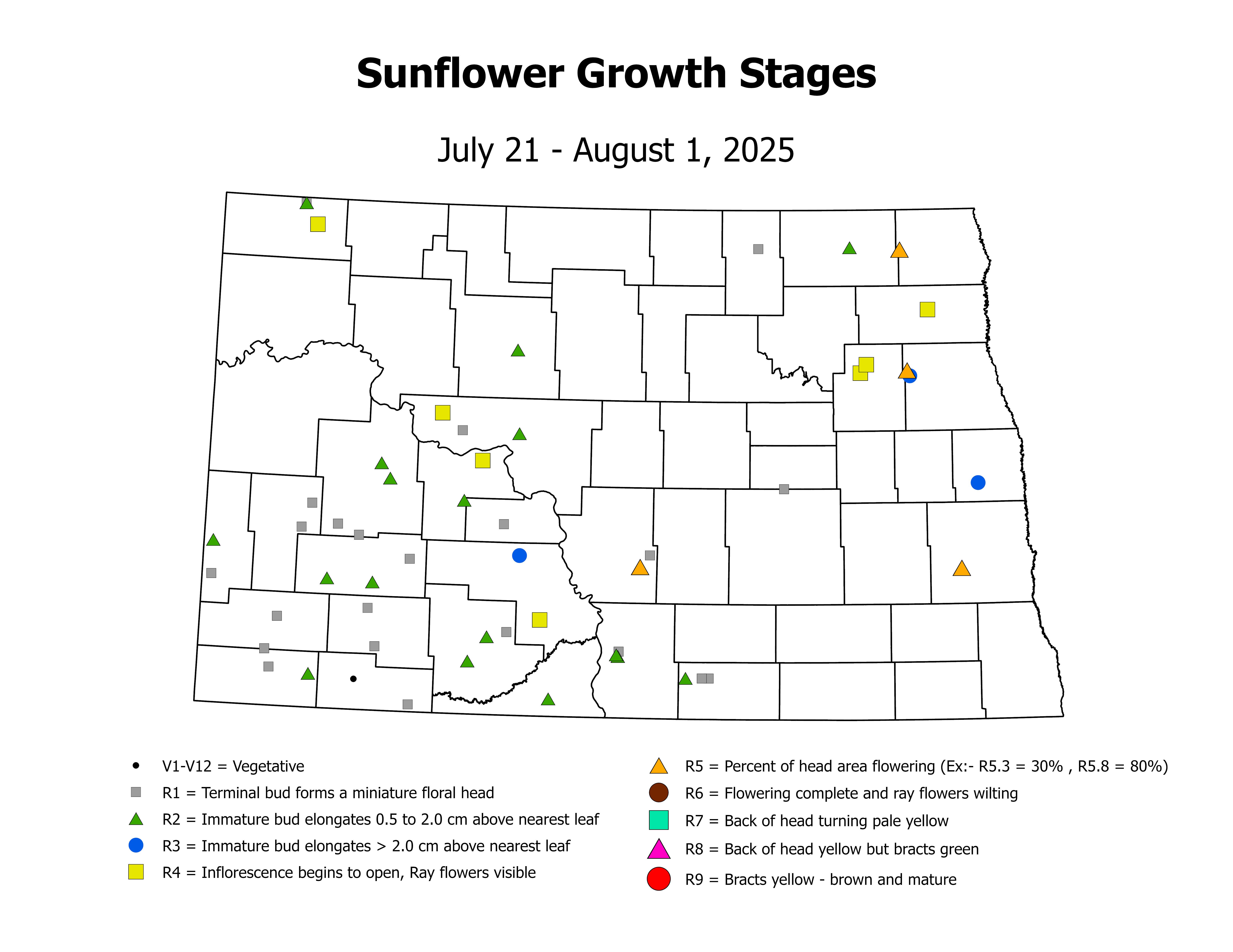 sunflower_CropStage_2025July21ToAugust1