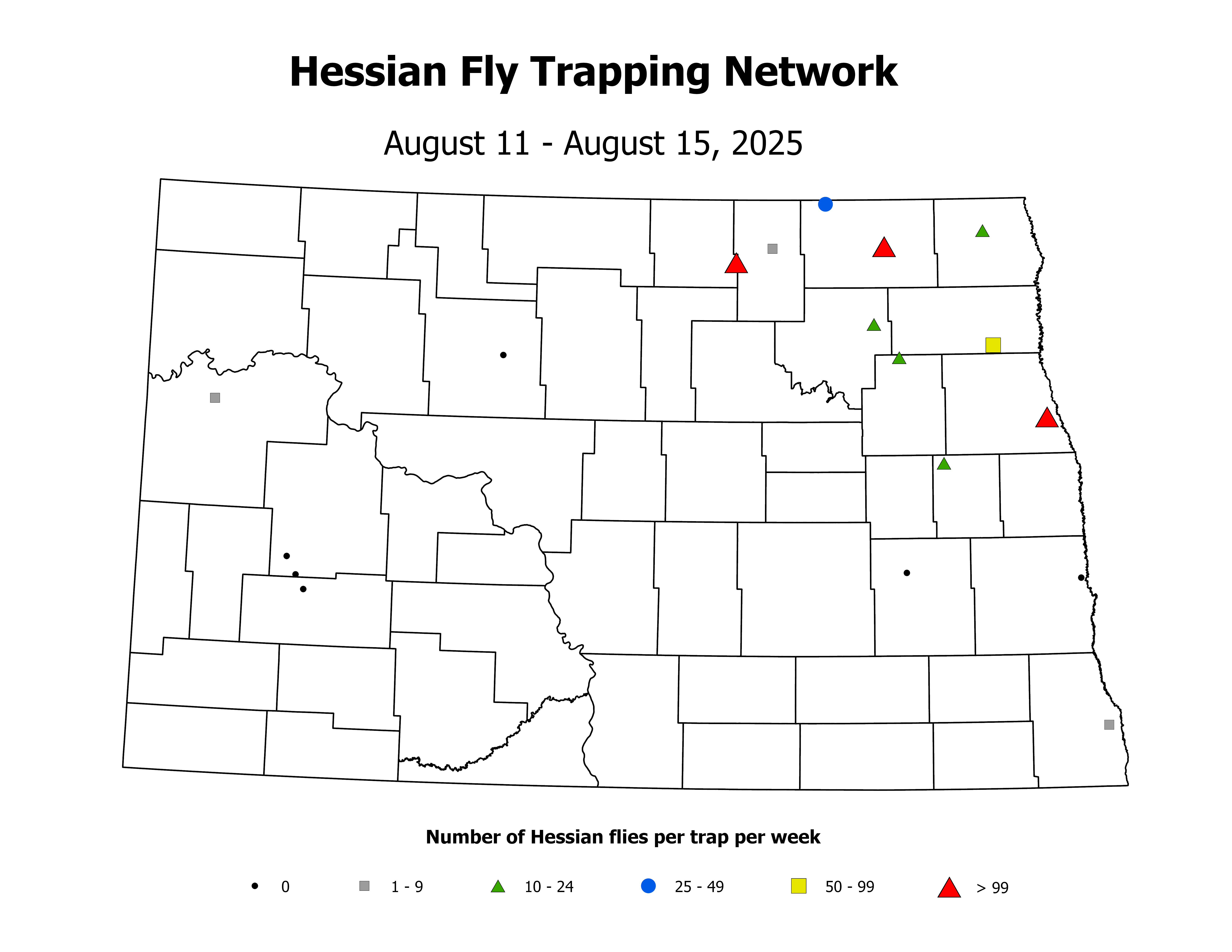 wheatInsectTrap_HF_Count_2025August11ToAugust15