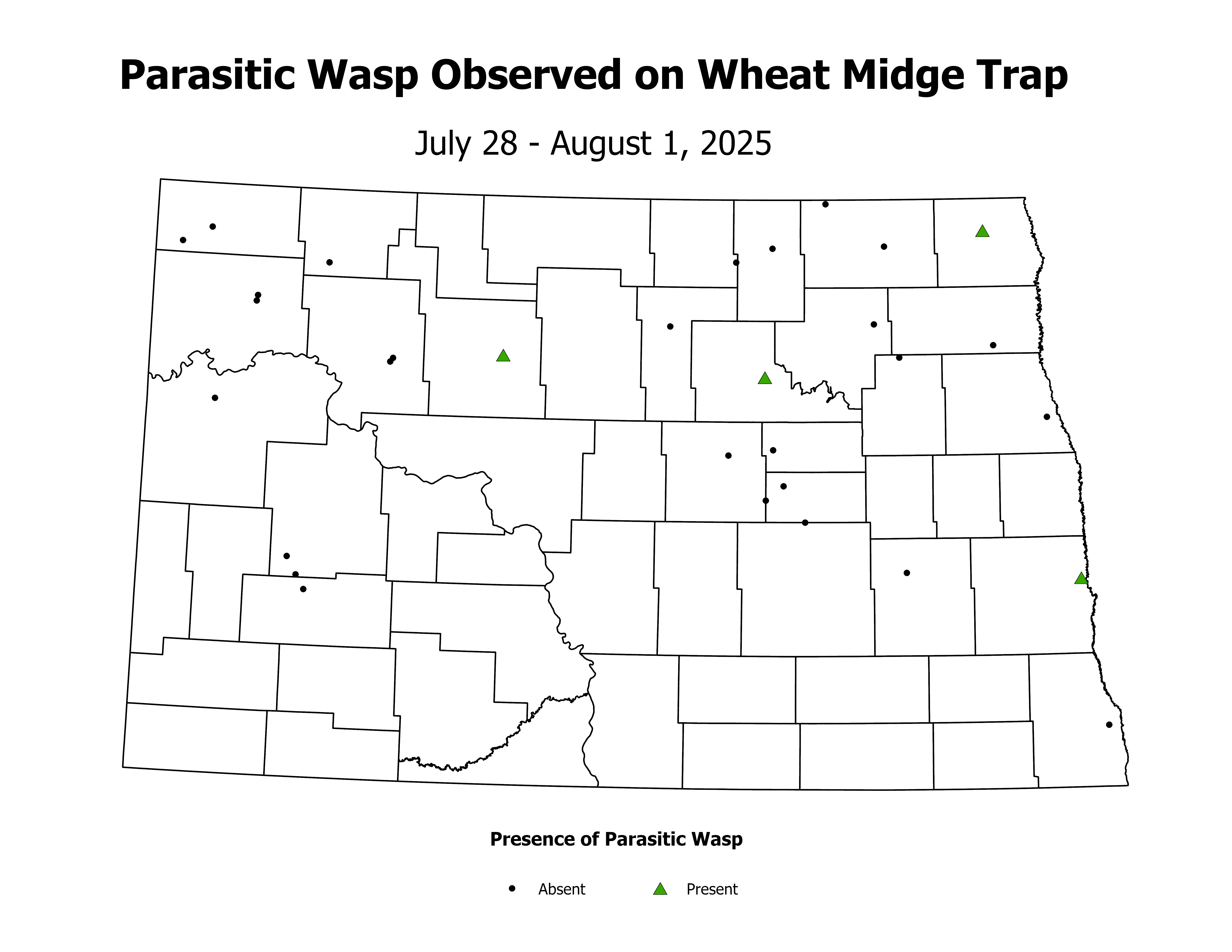 wheatInsectTrap_PARA_PRES_2025July28ToAugust1
