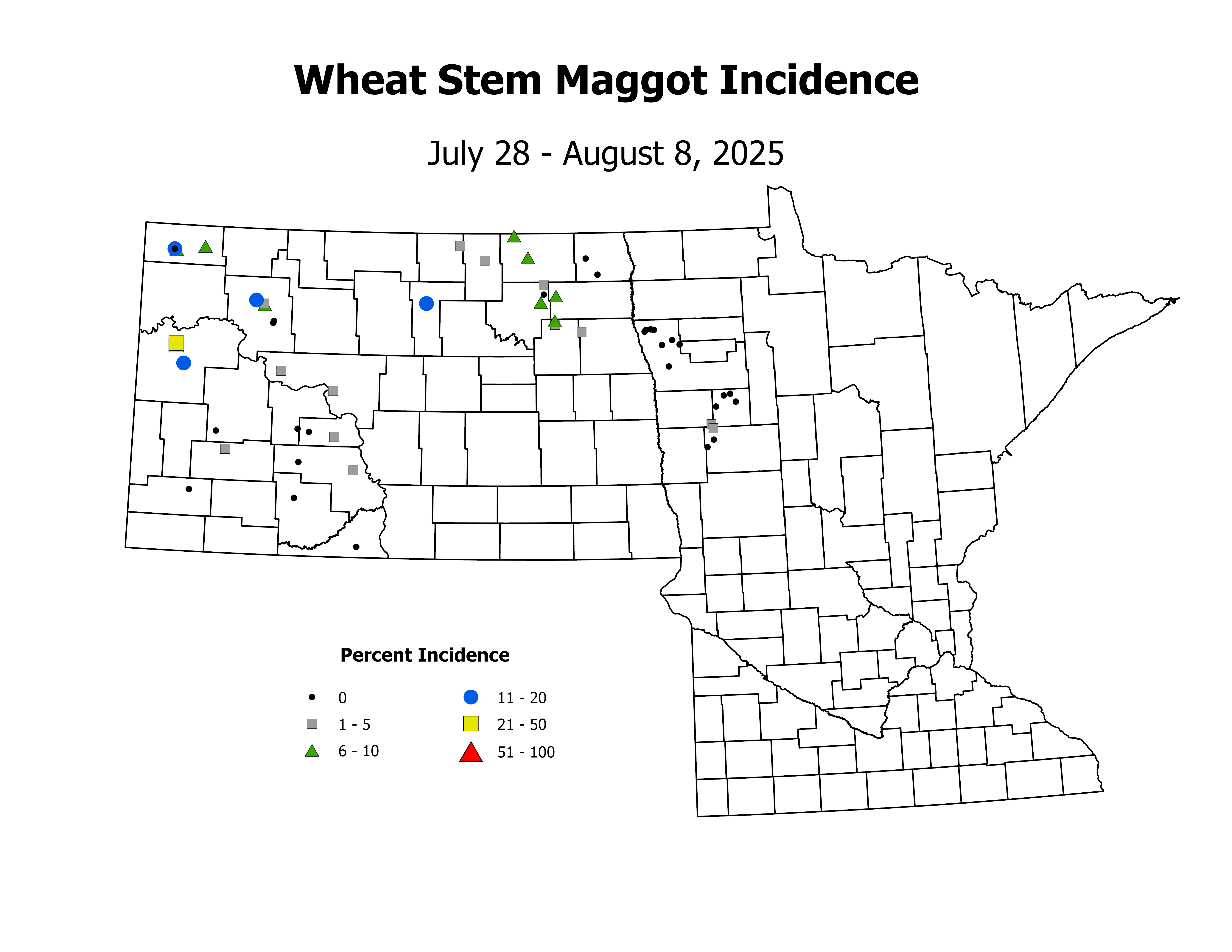 wheat_WSM_INC_2025July28ToAugust8