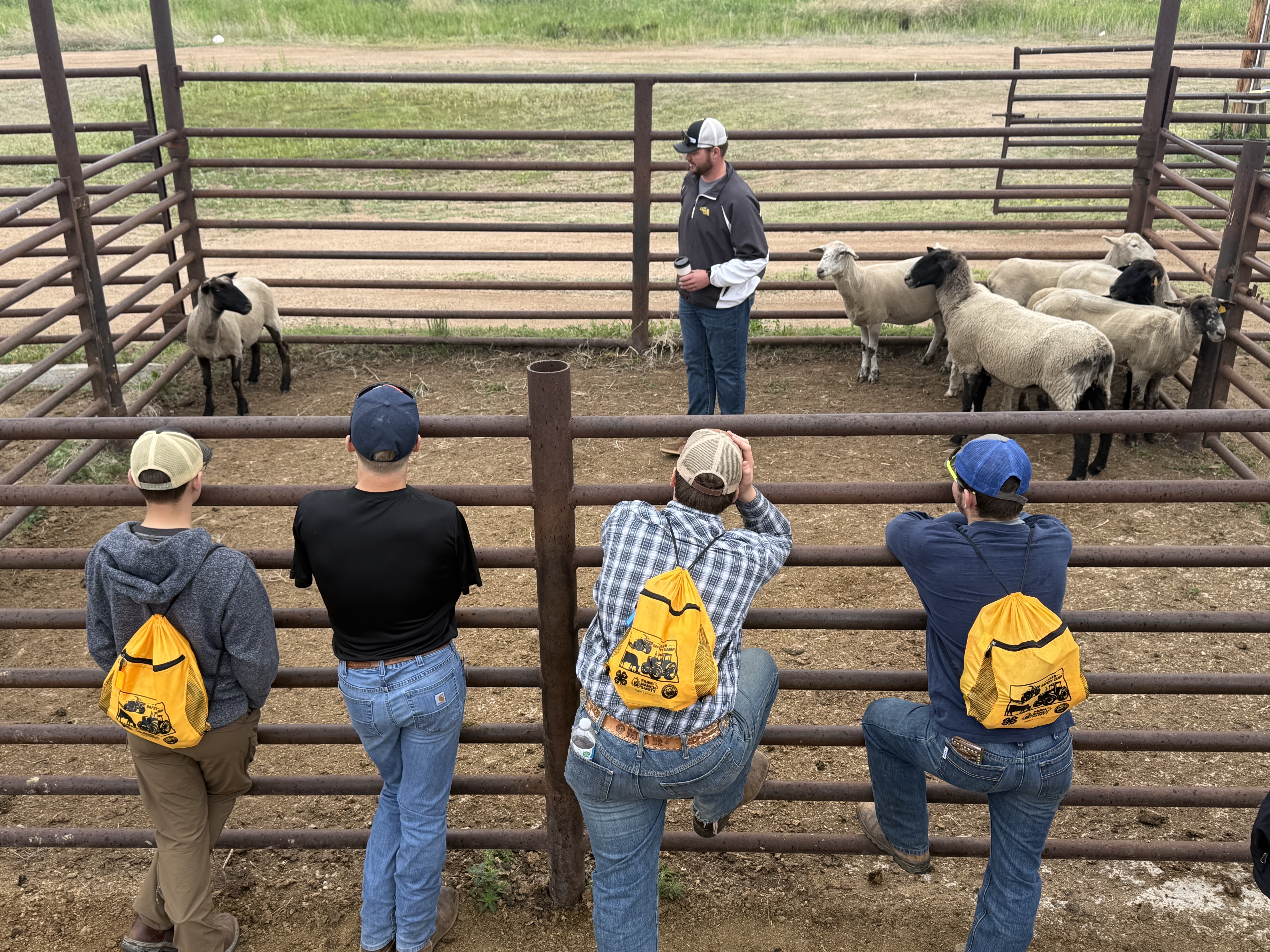 Farm Safety Camp West (2)