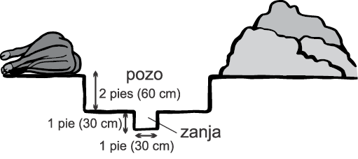 Figure B. Cross section