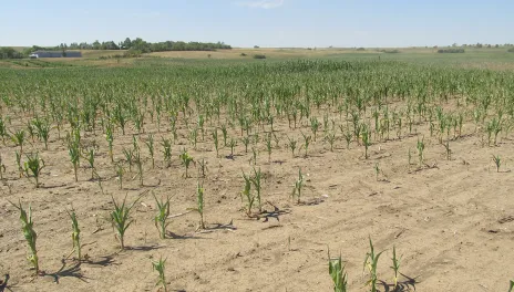 Drought in Mercer County, 2017