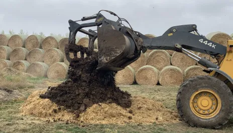 A yellow payloader covers animal mortality with bulking material (manure) on a two-foot thick carbon (straw) base, with large round hay bales in the background.
