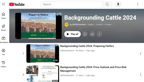 A screenshot from YouTube shows the title page for the 线上赌博app Extension playlist featuring Backgrounding Cattle 2024.