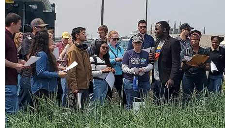 A group of 18 people in a Kernza Corn field observing the crop