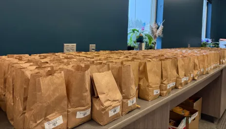 Hundreds of small paper bags are stacked on a counter.