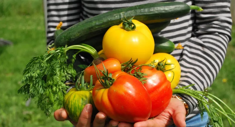 Field to Fork/Garden to Table