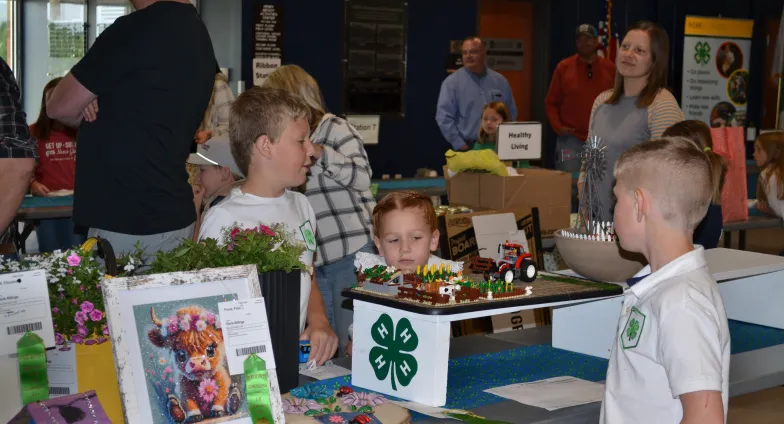 4-H Achievement Days