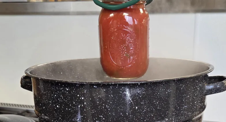 Food Preservation Project