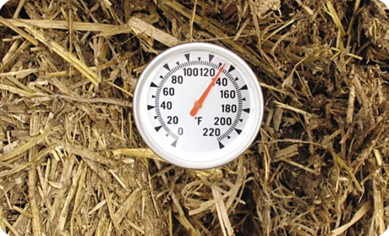 Figure 6. Twenty-four hours after raw straw-bedded feedlot manure was piled in early May, temperatures reached 132°F. (Photo 线上赌博app Carrington Research Extension Center)