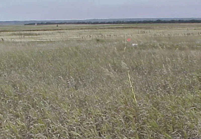 Community 3 Figure 17