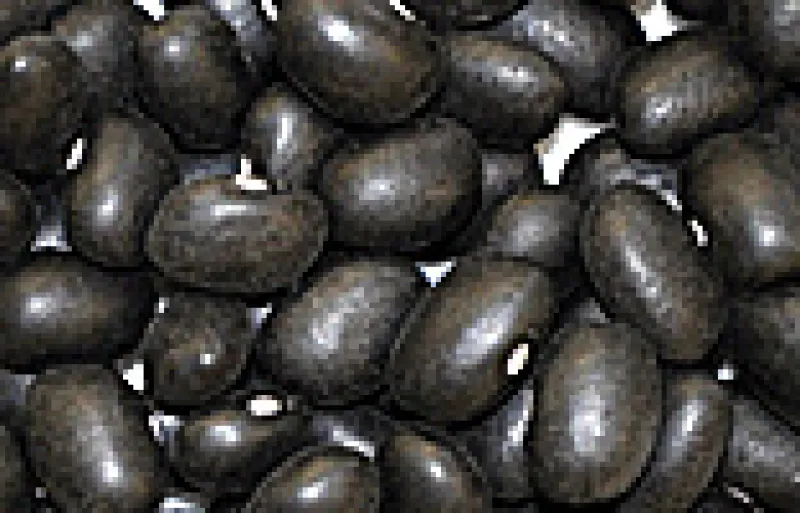 Black beans