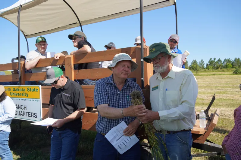 men examining crop roots