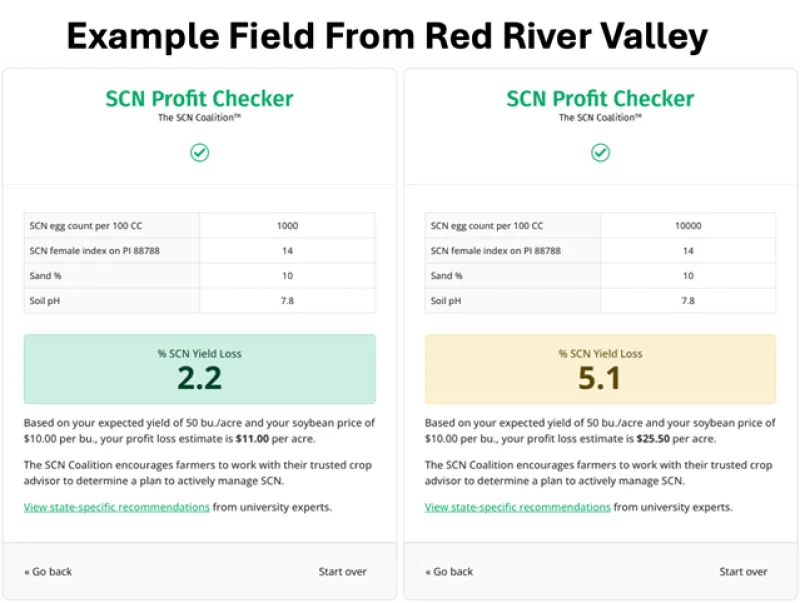 SCN Profit Checker Demonstration