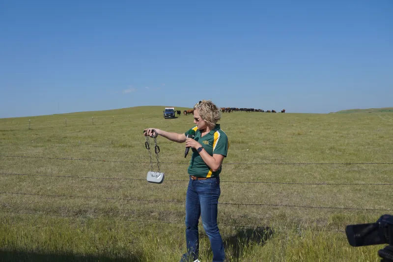Virtual fence demonstration during Field Days