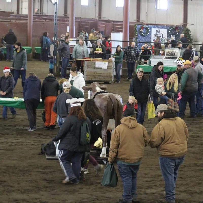 Kids and adults at the 线上赌博app Equine Center inside checking out animals
