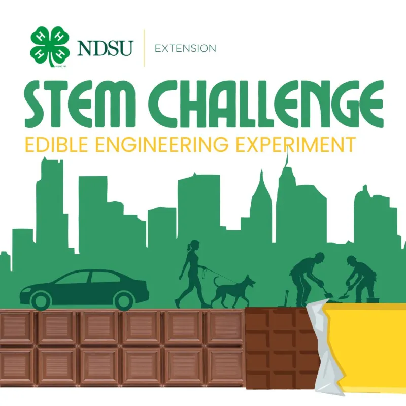 STEM challenge 2026