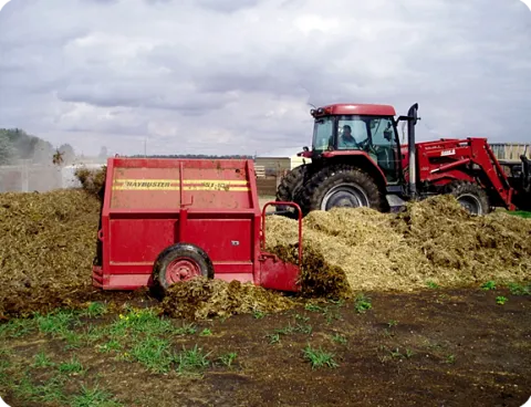 Figure 6. Twenty-four hours after raw straw-bedded feedlot manure was piled in early May, temperatures reached 132°F. (Photo 线上赌博app Carrington Research Extension Center)