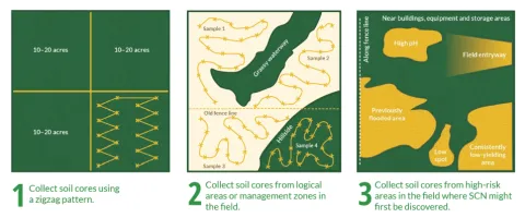 Figure 8. Three approaches to collecting SCN soil samples: 1) zig-zag pattern, 2) management zones, 3) high-risk areas for SCN detection. (www.thescncoalition.com)
