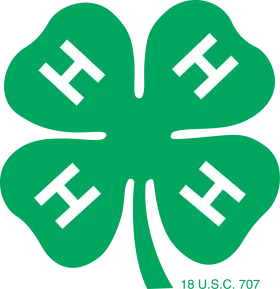 green 4H clover logo