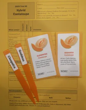 trials kit with plant markers