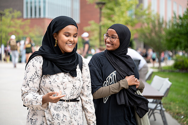 Bison Bridge program