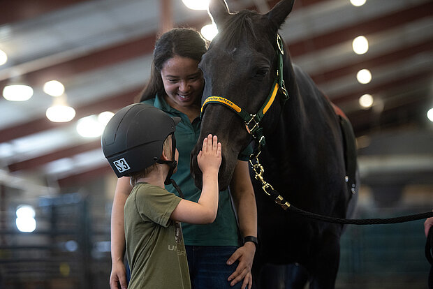 Bison Strides Bison Strides