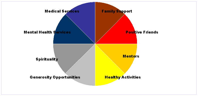 Sources of Strength Supports Chart