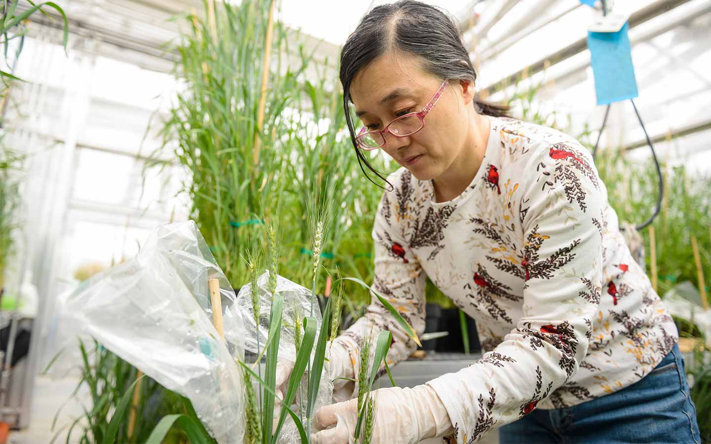 Female student in greenhouse