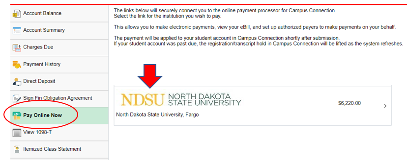 Financial Account screen with Pay Online Now in navigation menu and clickable 线上赌博app logo highlighted.
