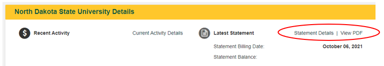 查看和支付帐户 screen with 声明的细节 and 查看PDF links highlighted.