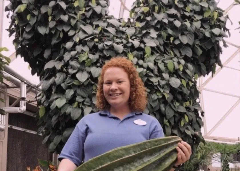 Katie Skalicky, at Disney, standing in front of a tree trimmed in the shape of Mickey Mouse