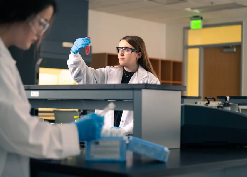 students looking at samples in a lab