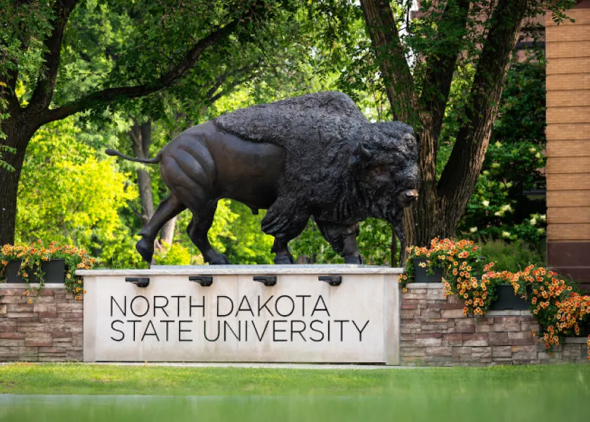bison statue on north dakota state university campus
