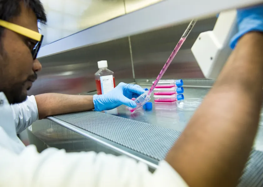 student working with biomedical samples