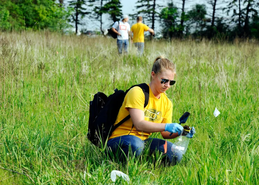students collecting samples in a grassy field