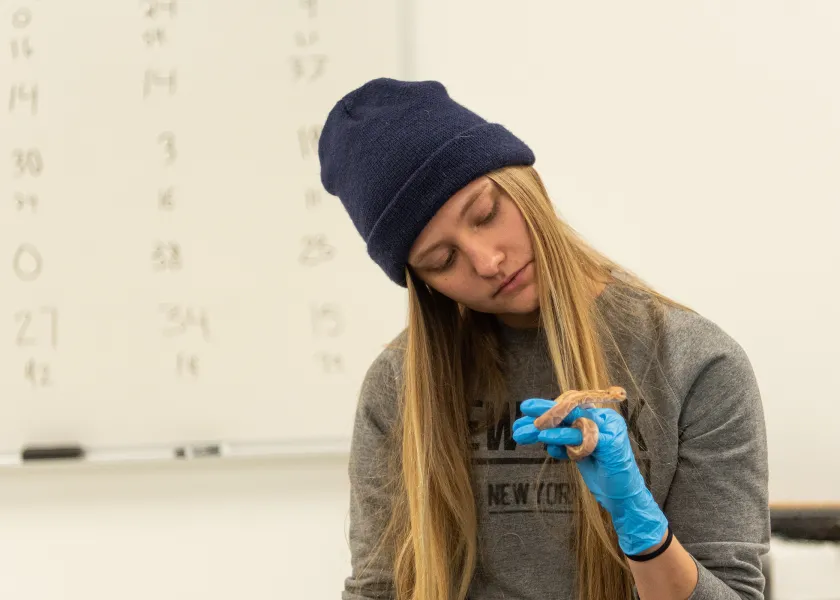 student examining a snake