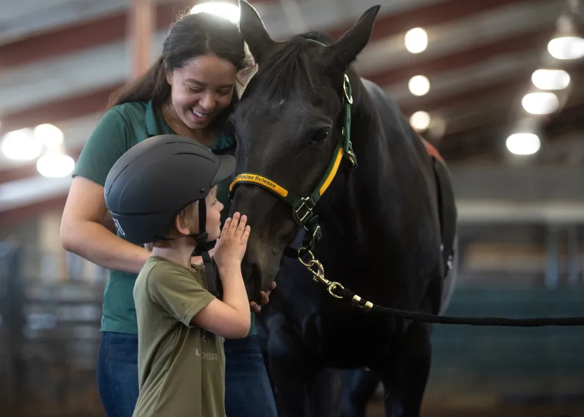 student working with a horse and youth