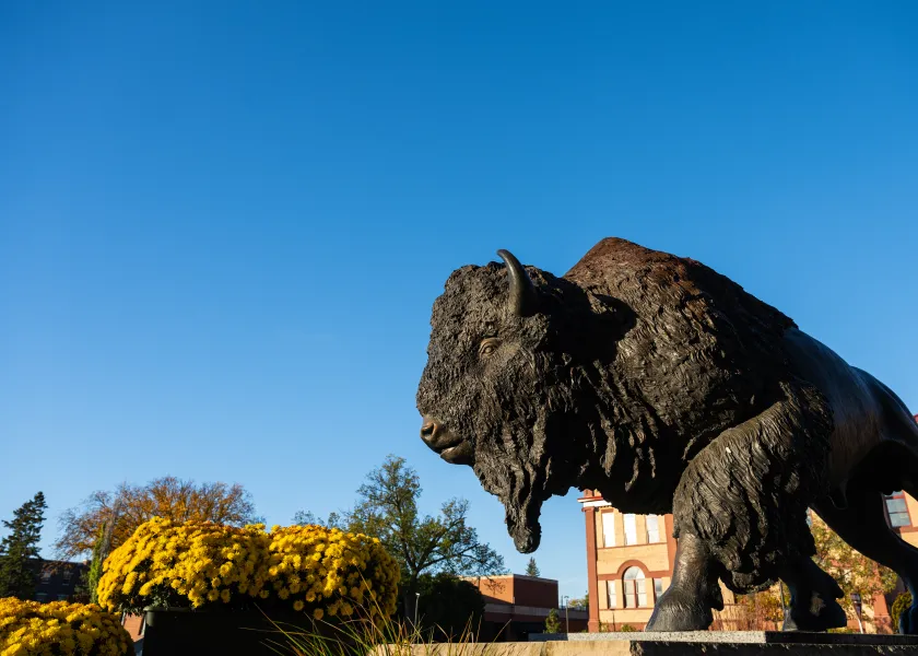 Bison Statue