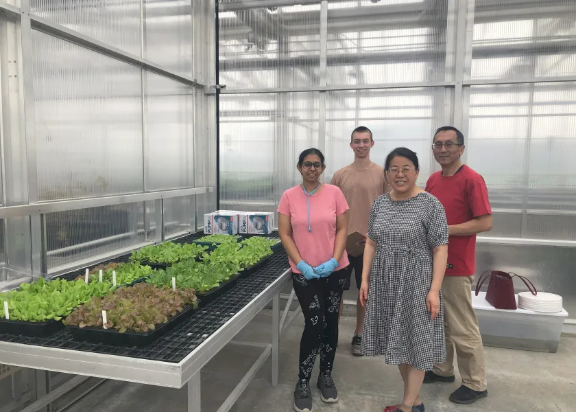 Xinhua Jia, professor of agricultural and biosystems engineering at North Dakota State University, stands in a greenhouse with three of her students.