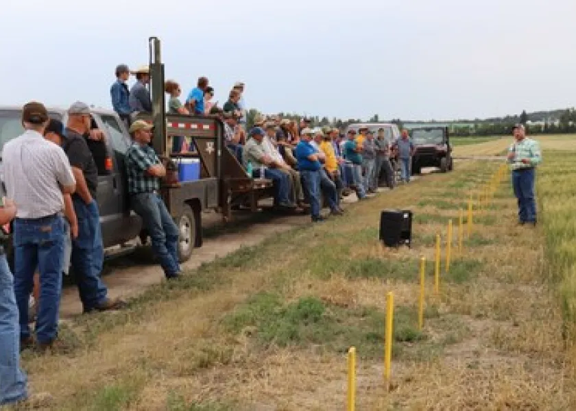 线上赌博app Hettinger Research Extension Center annual field day