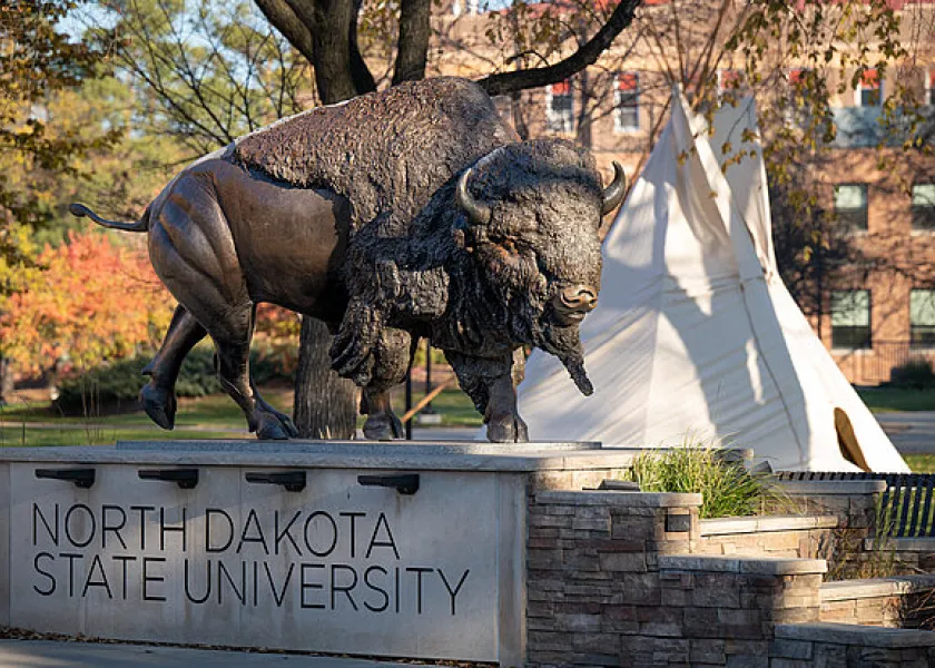 the bison statue on 线上赌博app campus