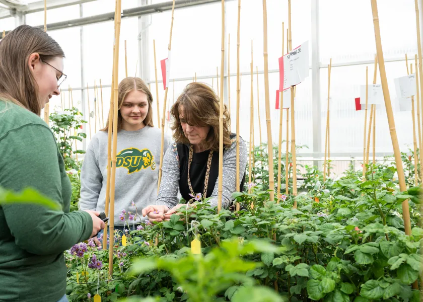 Plant Sciences faculty and students interact in a campus greenhouse