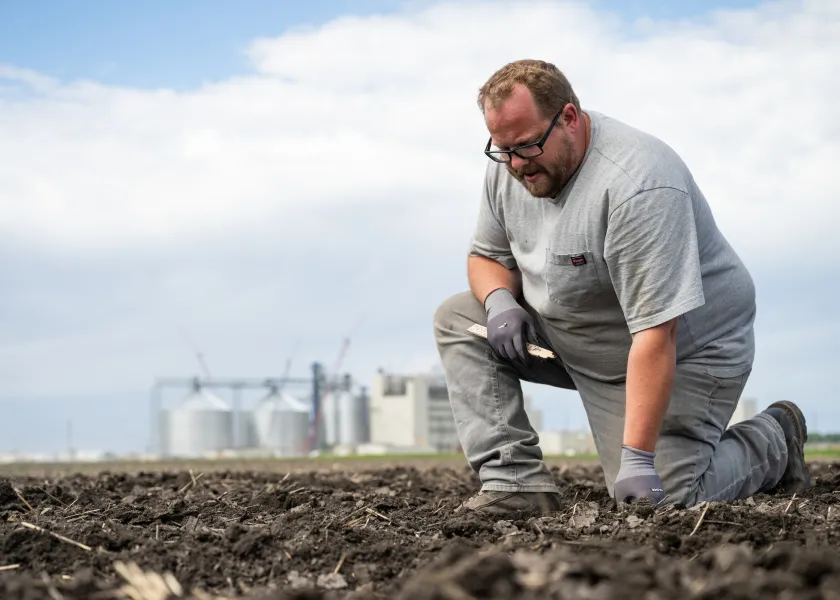 researching in the field inspecting soybeans