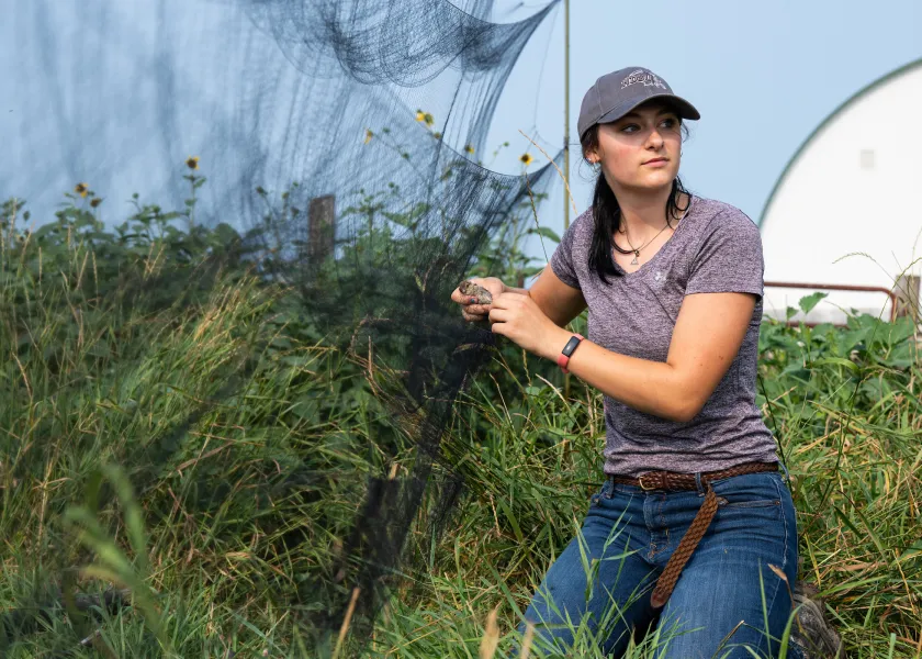 student conducting research on sparrows in the field