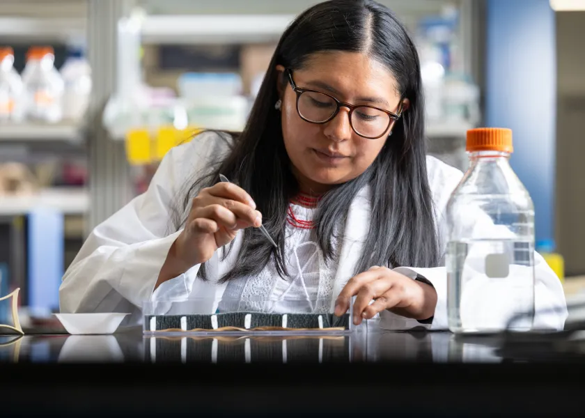 student conducting research in a plant sciences lab