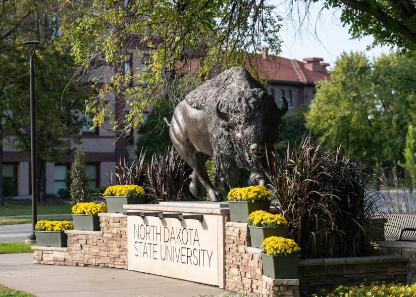 Bison statue on 线上赌博app campus.
