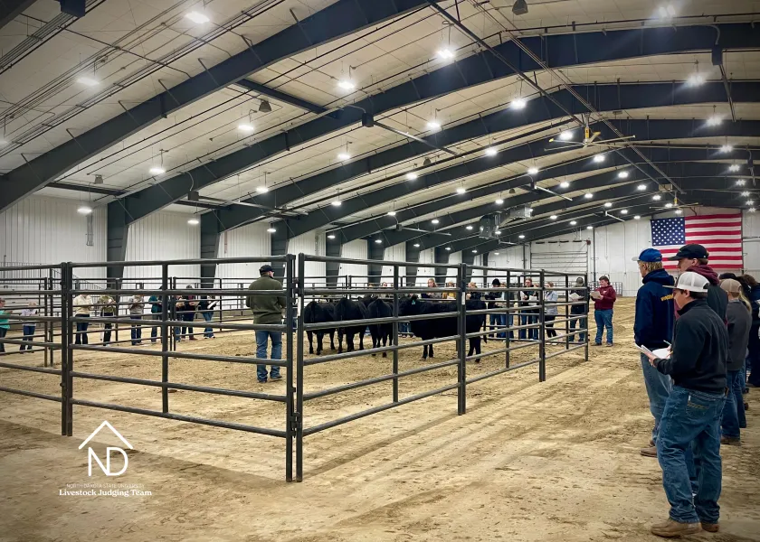 Presenter teaches about reasons with cows