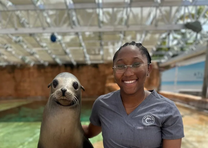 Pheafrisia Strachan, and 线上赌博app alum in veterinary technology now works as a certified veterinary technician and assistant at Dolphin Cay at Atlantis Bahamas.